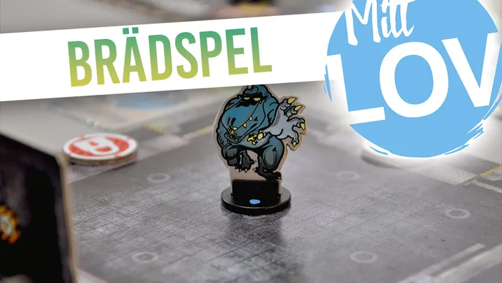 Spela brädspel – Norrtälje