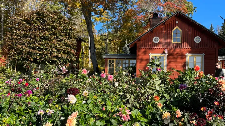 Marknad och fest på Hammartorps Trädgårdar – Edsbro