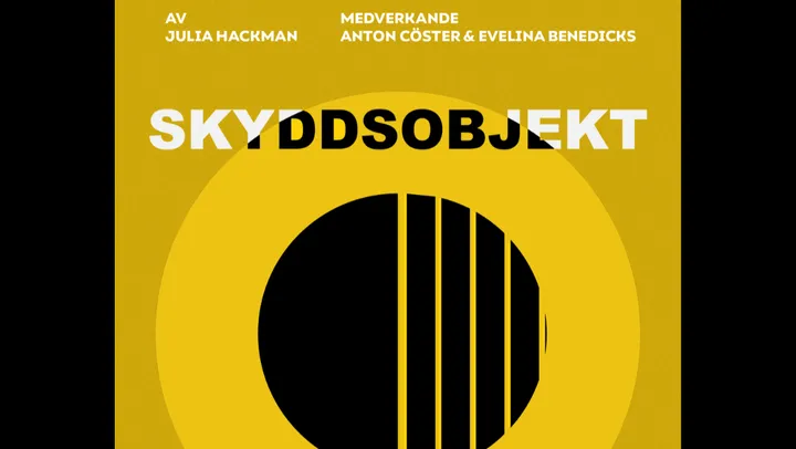 Skyddsojekt – Visby