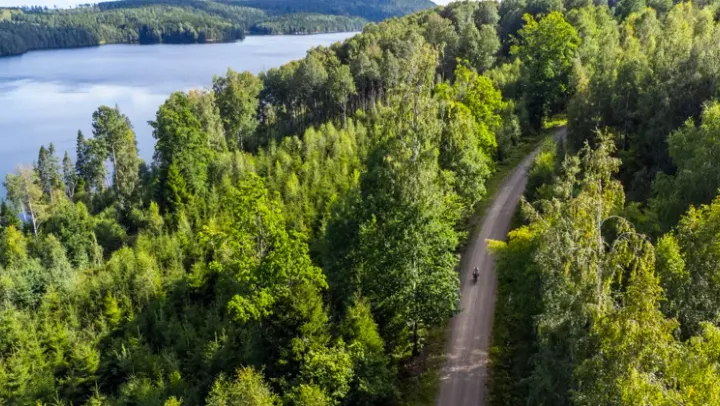 Skriv & Yoga i underbara Henneviken – Henneviken