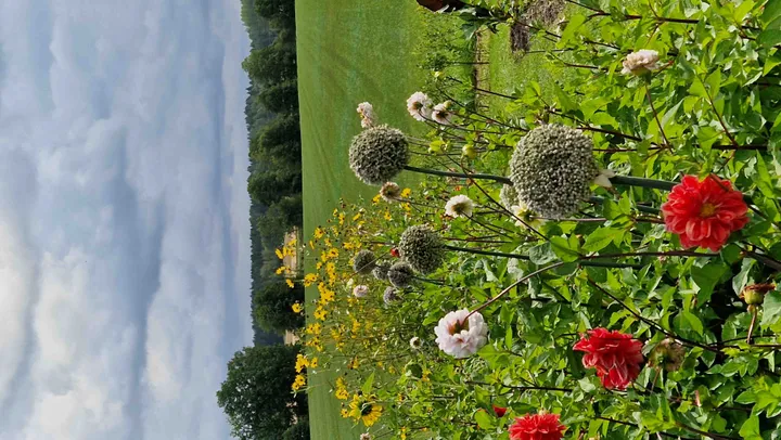 Mötesplats Trädgård – Grästorp