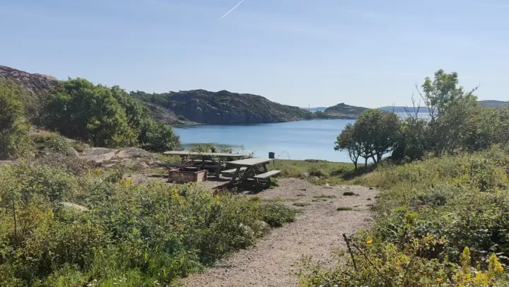 De vilda blommornas dag på Näverkärr