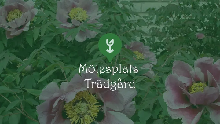 Mötesplats Trädgård – Lidköping och Götene