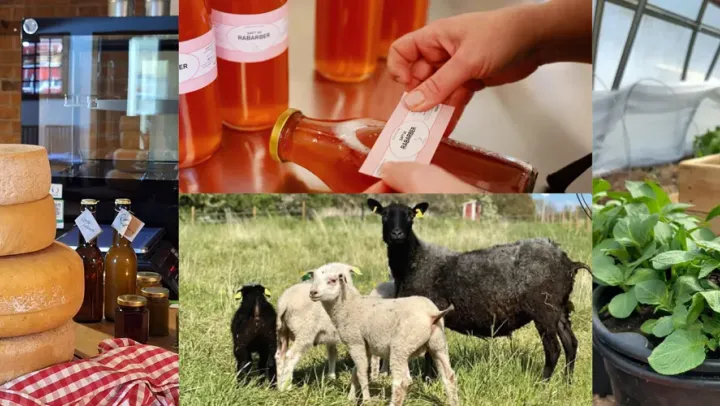 Matsafari norra Skaraborg Midsommar