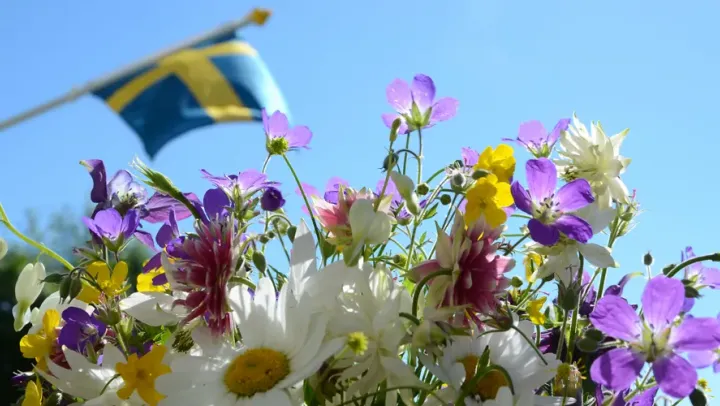Midsommar på Laxsjöns Camping – Dals Långed