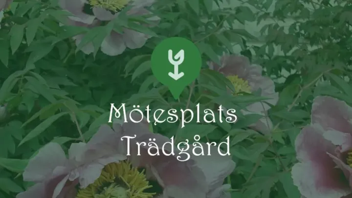 Mötesplats Trädgård – Skara