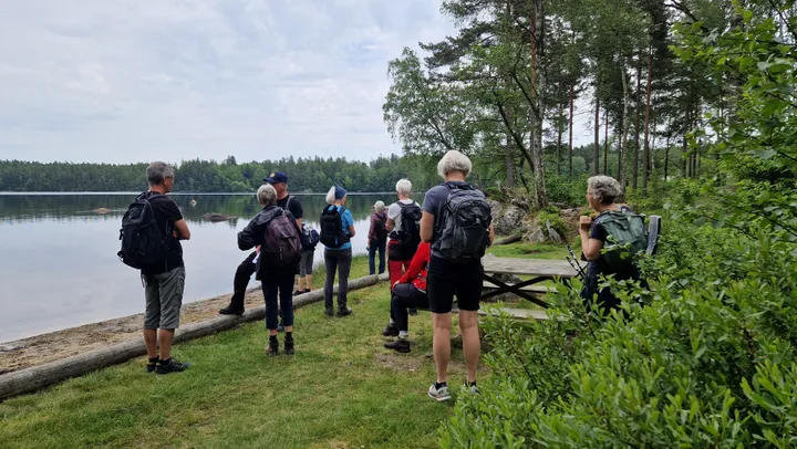 Vardagsvandring till Hästtjärn i Floda – Floda