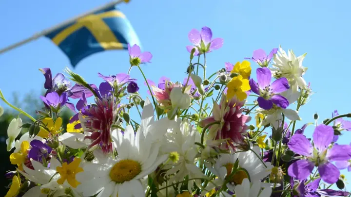 Midsommar i Lennartsfors – Årjäng