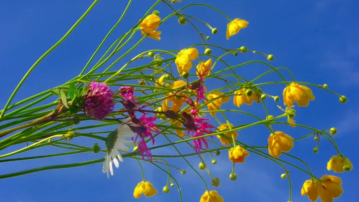 Midsommar Fengersfors – Fengersfors