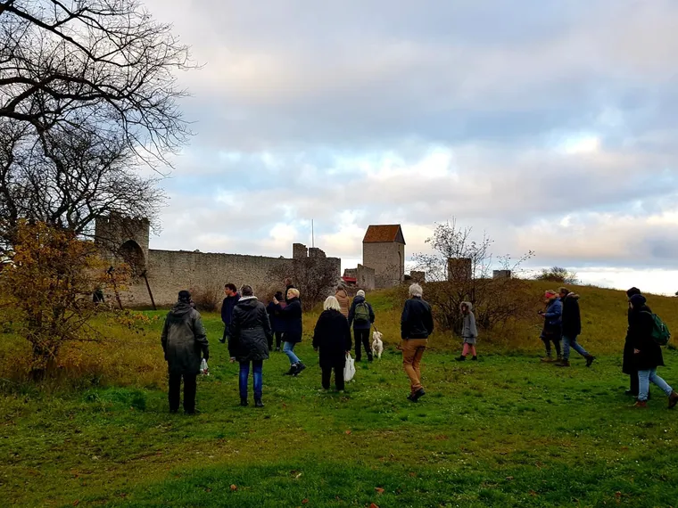 Tryffelsök i Östergravar – Visby