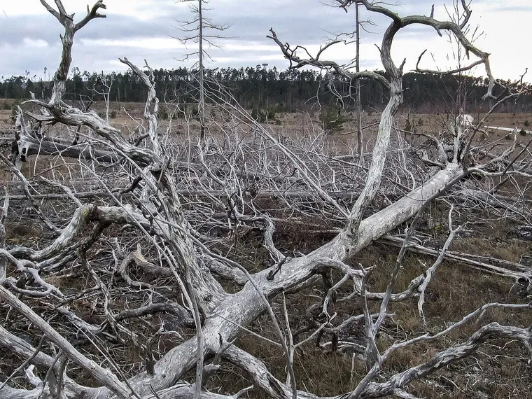 SAMTAL: Efter branden 1992 – Katthammarsvik