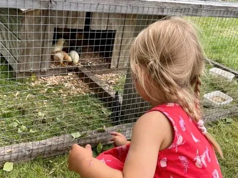 Barnens Matfestival – Visby