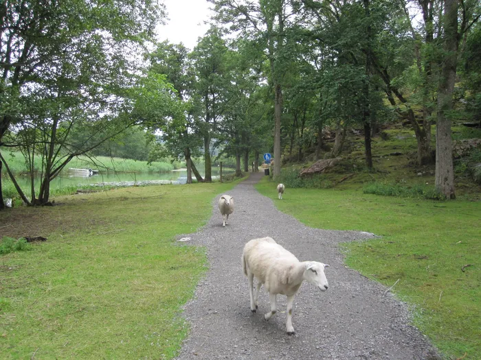 Guidad promenad runt Fästningsholmen "Holmgången"