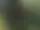 Tiveden, Lodjursknixen