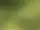 Dellenbygdens Naturhälsa – Delsbo
