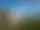 Runstenarna vid Ryda kungsgård