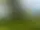 Koberg Golfklubb – Trollhättan