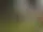 Växtrum: Brobackenslänten – LERUM