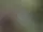 Naturstigen genom Hjos Djungel
