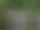 Östra Örekilsälvens FVO – Dals-Ed