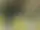 Ateljéföreningen Ockra – Hjo