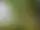 Dräggsjön runt
