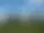 Melleruds Golfklubb – Mellerud