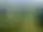 Fjällbacka Golfklubb – Fjällbacka