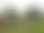 Golfparken Äventyrsgolf – Töreboda